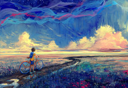 Rule 34 | 1boy, bare legs, bicycle, brown hair, cloud, flower, hangmoon, highres, horizon, male focus, path, puddle, road, shirt, shoes, short hair, short sleeves, shorts, sky, sneakers, solo, star (sky), starry sky, striped clothes, striped shirt, walking