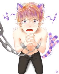 Rule 34 | 1boy, animal ears, bdsm, bondage, bound, bound wrists, cat boy, cat ears, cat tail, chain, crying, denim, jeans, looking at viewer, male focus, open pants, orange hair, original, oringtto, pants, pink eyes, pov, restrained, simple background, solo, tail, tears, white background