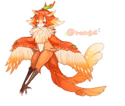 Rule 34 | 2girls, ahoge, bachikin (kingyo155), bird legs, bird tail, claws, commentary request, feathered wings, food-themed creature, gradient hair, hair between eyes, harpy, monster girl, multicolored hair, multiple girls, neck fur, orange (bachikin), orange eyes, orange feathers, orange hair, original, short hair, simple background, tail, talons, translation request, white background, winged arms, wings