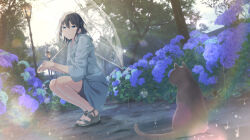 Rule 34 | 1girl, absurdres, animal, black cat, black hair, black shorts, blue eyes, blue flower, cac itinose, cat, closed mouth, commentary request, day, flower, grey footwear, grey jacket, hair between eyes, highres, holding, holding umbrella, hood, hood down, hooded jacket, hydrangea, jacket, lamppost, looking at viewer, original, outdoors, purple flower, rain, sandals, short shorts, shorts, solo, squatting, transparent, transparent umbrella, umbrella
