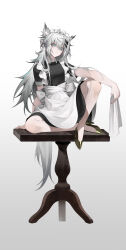 Rule 34 | 1girl, absurdres, alternate costume, animal ears, arknights, black dress, closed mouth, dress, enmaided, full body, gold footwear, grey eyes, grey hair, hair ornament, hashtag-only commentary, high heels, highres, holding, holding cloth, holding tray, knee up, lappland (arknights), looking at viewer, maid, maid headdress, messy hair, puffy short sleeves, puffy sleeves, short sleeves, simple background, sitting, sitting on table, skirt hold, solo, standing, suyi-j, tray, white background, white headdress, white headwear, wolf ears, wolf girl