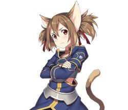 Rule 34 | 1girl, :t, animal ears, brown hair, cat ears, cat tail, crossed arms, hair ornament, hair ribbon, long hair, looking at viewer, red eyes, red ribbon, ribbon, short twintails, silica, silica (sao-alo), solo, standing, sword art online, tail, transparent background, twintails, upper body