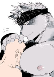 Rule 34 | 2boys, ainu, animal ears, artist self-insert, bara, between pecs, between pectorals, blush, chest hair, chest tuft, completely nude, from side, furry, furry male, furry with non-furry, grey fur, grey hair, hand on another&#039;s head, head between pecs, headband, horkeu kamui, interspecies, kijima hyogo, large pectorals, male focus, multiple boys, muscular, muscular male, nipples, nude, pectorals, short hair, smile, tokyo houkago summoners, two-tone fur, upper body, white fur, wolf boy, wolf ears, yaoi