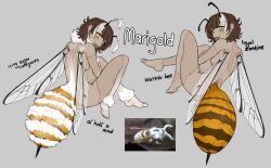 Rule 34 | 1girl, antennae, arthropod girl, bee girl, breasts, brown hair, commentary, completely nude, english commentary, english text, fangs, from behind, grey background, highres, insect girl, insect wings, looking at viewer, medium hair, monster girl, multicolored hair, multiple views, nude, open mouth, original, parasite, pushpup, simple background, skin fangs, small breasts, smile, stinger, stitches, undead, white hair, wings, yellow eyes