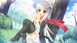 Rule 34 | 00s, 1girl, asa (swallowtail), black thighhighs, blush, doll joints, dress, frills, gothic lolita, hairband, joints, lolita fashion, long hair, red eyes, rozen maiden, scarf, silver hair, sitting, solo, suigintou, thighhighs, tree