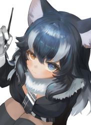 Rule 34 | 1girl, animal ears, black hair, black jacket, blue eyes, breasts, closed mouth, dokomon, expressionless, fangs, from above, fur collar, gloves, grey hair, grey wolf (kemono friends), hair between eyes, hand up, heterochromia, highres, holding, jacket, kemono friends, large breasts, long sleeves, looking at viewer, looking up, microskirt, multicolored hair, necktie, plaid necktie, simple background, sitting, skin fangs, skirt, solo, thighhighs, thighs, two-tone hair, white background, white gloves, wolf ears, yellow eyes, zettai ryouiki