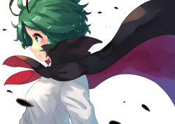 Rule 34 | 1girl, alternate breast size, antennae, black cape, blush, breasts, cape, collared cape, collared shirt, commentary, green eyes, green hair, hashiro, long sleeves, looking to the side, medium breasts, open mouth, profile, red cape, shirt, short hair, simple background, solo, standing, teeth, touhou, two-tone cape, upper body, white background, white shirt, wind, wriggle nightbug