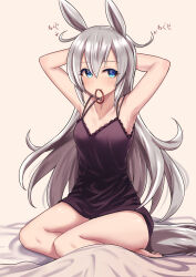Rule 34 | 1girl, animal ears, armpits, arms up, bed sheet, black camisole, blue eyes, breasts, camisole, grey hair, highres, horse ears, horse girl, horse tail, long hair, looking at viewer, messy hair, mouth hold, on bed, sitting, small breasts, tail, tamamo cross (umamusume), teaclaw, umamusume, yokozuwari