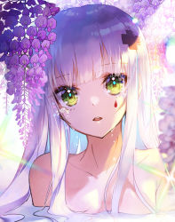 Rule 34 | 1girl, apple caramel, backlighting, blush, breasts, collarbone, commentary, facial mark, flower, girls&#039; frontline, green eyes, hair ornament, head tilt, highres, hk416 (girls&#039; frontline), long hair, looking at viewer, parted lips, partially submerged, purple flower, revision, silver hair, small breasts, solo, teeth, upper body, upper teeth only, water, wet, wisteria