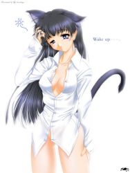 Rule 34 | animal ears, black hair, blue eyes, blush, bottomless, breasts, cat ears, cat tail, cleavage, covered erect nipples, dress shirt, hand in own hair, hand on thigh, kimikage ryou, long hair, shirt, sleepy, source request, tail, third-party edit, white shirt