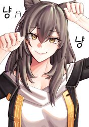 Rule 34 | 1girl, absurdres, animal ears, arm up, bare shoulders, black jacket, cat ears, collarbone, commentary request, grey hair, hair between eyes, hand up, highres, honkai: star rail, honkai (series), jacket, kemonomimi mode, long hair, looking at viewer, off-shoulder shirt, off shoulder, open clothes, open jacket, pyeong-il pyeongil, shirt, simple background, smile, solo, stelle (honkai: star rail), trailblazer (honkai: star rail), upper body, white background, white shirt, yellow eyes