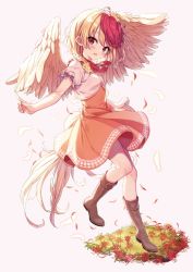Rule 34 | 1girl, animal, animal on head, ascot, bird, bird on head, bird tail, bird wings, blonde hair, blush, brown footwear, chick, dress, feathers, flower, highres, looking at viewer, multicolored hair, niwatari kutaka, official art, on head, orange dress, puffy short sleeves, puffy sleeves, red ascot, red eyes, red hair, shirt, shnva, short hair, short sleeves, smile, solo, spider lily, standing, standing on one leg, strange creators of outer world, tail, third-party source, touhou, white shirt, wings