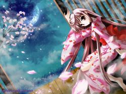 Rule 34 | brown hair, cherry blossoms, japanese clothes, kimono, long hair, moon, solo, tagme, very long hair