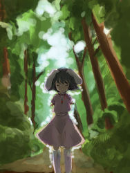 Rule 34 | 1girl, ^ ^, animal ears, arms behind back, bad id, bad pixiv id, bamboo, bamboo forest, black hair, rabbit ears, closed eyes, dress, closed eyes, female focus, forest, inaba tewi, jewelry, kuronuko neero, nature, necklace, short hair, smile, solo, standing, thighhighs, touhou, tree, zettai ryouiki