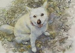 Rule 34 | animal, animal focus, autumn leaves, dog, highres, looking at viewer, no humans, open mouth, original, painting (medium), realistic, traditional media, watercolor (medium), yu grassbird