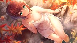 1girl akai_asaka arm_support autumn autumn_leaves blurry blurry_foreground blush breasts brown_hair bucket cleavage closed_mouth collarbone covered_navel deep_one_kyomu_to_mugen_no_fragment falling_leaves from_above green_eyes hair_bun hair_ornament hair_up holding holding_leaf large_breasts leaf looking_at_viewer maple_leaf naked_towel natsuhiko non-web_source onsen red_hair ripples rock short_hair sitting smile soaking_feet solo steam thighs towel water wet