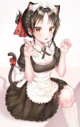 Rule 34 | 1girl, absurdres, aina 156cm, alternate costume, animal ears, apron, black dress, black hair, blush, breasts, cat ears, cat girl, cat tail, claw pose, commentary request, dress, enmaided, fang, feet out of frame, fingernails, folded ponytail, frilled apron, frilled dress, frills, hair ribbon, hands up, highres, kaguya-sama wa kokurasetai ~tensai-tachi no renai zunousen~, kemonomimi mode, kneehighs, looking at viewer, maid, maid headdress, open mouth, parted bangs, puffy short sleeves, puffy sleeves, red eyes, red ribbon, ribbon, shinomiya kaguya, short hair, short sleeves, sitting, socks, solo, tail, tail ornament, tail raised, tail ribbon, waist apron, white socks