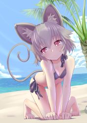Rule 34 | 1girl, animal ears, barefoot, beach, bikini, black bikini, breasts, cleavage, day, expressionless, full body, grey hair, highres, ishikkoro, mouse ears, mouse tail, nazrin, ocean, outdoors, red eyes, sand, short hair, side-tie bikini bottom, small breasts, solo, summer, sweat, swimsuit, tail, thigh gap, touhou, water
