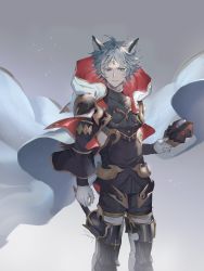 Rule 34 | 1boy, animal ears, blue eyes, cape, darkavey, erune, gloves, granblue fantasy, highres, holding, hood, looking at viewer, male focus, mask, mole, mole under eye, seox (granblue fantasy), silver hair, simple background, solo, white cape, white gloves