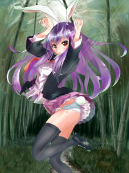 Rule 34 | 1girl, 4 ii il, animal ears, arched back, artist request, bad id, bad pixiv id, bamboo, bamboo forest, forest, frilled skirt, frills, long hair, miniskirt, nature, necktie, panties, purple hair, rabbit ears, rabbit girl, rabbit pose, rabbit tail, red eyes, red tie, reisen udongein inaba, shirt, shoes, side-tie panties, skirt, solo, tail, thighhighs, touhou, underwear, white panties, wind, wind lift