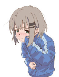 Rule 34 | 1girl, blue jacket, blush, cheek bulge, closed mouth, commentary request, covering own mouth, cropped torso, doublep0ints, furrowed brow, green eyes, hair ornament, hairclip, hand on own stomach, hand over own mouth, hand up, highres, imminent vomiting, jacket, leaning forward, light brown hair, long sleeves, looking at viewer, medium hair, nausea, nose blush, sidelocks, simple background, solo, tearing up, track jacket, white background, x-ray, yama no susume, yukimura aoi