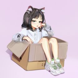 Rule 34 | 1girl, absurdres, animal ears, artist request, bare legs, black hair, box, cat ears, cat girl, cat tail, character request, hand on own cheek, hand on own face, head rest, highres, hood, hoodie, in box, in container, original, pink background, shoes, simple background, sitting, sneakers, solo, tagme, tail