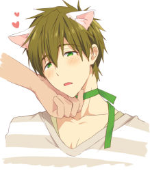 Rule 34 | 10s, 1boy, animal ears, blush, brown hair, cat boy, cat ears, choker, free!, green eyes, hand on another&#039;s chin, heart, male focus, mo (nmnme), open mouth, short hair, simple background, solo focus, stroking another&#039;s chin, tachibana makoto, white background