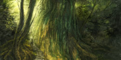 Rule 34 | 1boy, forest, ginko, mushishi, nature, scenery, soles, stairs, watermother2004
