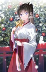 Rule 34 | 1girl, bell, black hair, blue eyes, blush, bush, cowboy shot, flower, hakama, highres, hip vent, holding, japanese clothes, jingle bell, kimono, long hair, long sleeves, looking at viewer, miko, miwano rag, mole, mole under mouth, motion blur, official art, original, parted lips, ponytail, railing, red flower, red hakama, smile, snow, snow sculpture, snowing, solo, white kimono, wide sleeves