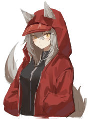 Rule 34 | 1girl, absurdres, animal ears, arknights, black shirt, blush, brown eyes, closed mouth, cropped torso, ears through headwear, grey hair, hair between eyes, hands in pockets, highres, hood, hood up, hooded jacket, jacket, long hair, long sleeves, looking at viewer, nagute, open clothes, open jacket, projekt red (arknights), projekt red (light breeze) (arknights), puffy long sleeves, puffy sleeves, red jacket, shirt, simple background, sketch, solo, tail, white background