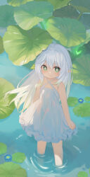 Rule 34 | 1girl, absurdres, bare arms, bare shoulders, blush, closed mouth, commentary request, criss-cross halter, cross-shaped pupils, dress, fufumi, genshin impact, green eyes, green hair, grey hair, hair between eyes, halterneck, highres, leaf, long hair, looking at viewer, multicolored hair, nahida (genshin impact), pointy ears, smile, solo, standing, streaked hair, symbol-shaped pupils, very long hair, wading, water, white dress