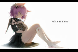 Rule 34 | 1girl, absurdres, animal ear fluff, animal ears, arknights, black dress, blood, blood on clothes, blush, character name, closed mouth, crying, dress, fox ears, full body, hair ornament, highres, kneehighs, knees up, letterboxed, niuy, no tail, official alternate costume, puffy short sleeves, puffy sleeves, purple hair, shamare (arknights), shamare (echo of the horrorlair) (arknights), short hair, short sleeves, short twintails, simple background, sitting, skull hair ornament, socks, solo, stuffed animal, stuffed toy, tears, teddy bear, thighs, twintails, white background, white socks