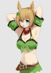 Rule 34 | 1girl, animal ears, armpits, arms behind head, arms up, bandana, bandeau, belt, blue eyes, blush, breasts, brown belt, brown hair, cleavage, commentary request, detached sleeves, green skirt, grey background, highres, horse ears, medium breasts, midriff, mouth hold, navel, short hair, short sleeves, simple background, skirt, solo, stomach, taiki shuttle (umamusume), umamusume, upper body, yamada (c57hikaru)