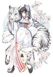 Rule 34 | 1girl, blue eyes, blush, byakko, carrot (robosquat), chinese zodiac, flower, frilled footwear, gradient hair, hair flower, hair ornament, highres, looking at viewer, multicolored hair, original, simple background, solo, tiger, white background, year of the tiger