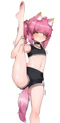 Rule 34 | 1boy, animal ears, bad id, bad pixiv id, bare arms, bare legs, black shorts, blush, closed mouth, dokomon, fang, heart, heart-shaped pupils, highres, male focus, midriff, navel, original, pink hair, short shorts, shorts, side ponytail, simple background, skin fang, solo, split, standing, standing on one leg, standing split, sweat, symbol-shaped pupils, tail, tank top, trap, trembling, white background, yellow eyes