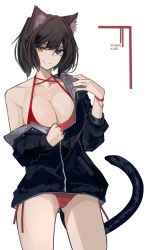 Rule 34 | 1girl, absurdres, animal ear fluff, animal ears, artist name, bikini, black hoodie, blue eyes, breasts, brown hair, cat ears, cat girl, cat tail, cleavage, closed mouth, heterochromia, highres, hood, hoodie, looking at viewer, nail polish, nuggetkouhai, original, red bikini, red nails, short hair, simple background, smile, solo, swimsuit, tail, white background, yellow eyes