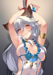 Rule 34 | 1girl, 92m, animal ears, armlet, armpits, arms up, bare shoulders, bdsm, blush, bondage, bound, bound wrists, bracelet, braid, breasts, cleavage, erune, gradient background, granblue fantasy, grey background, hair between eyes, hair tubes, heles, heles (summer) (granblue fantasy), highres, jewelry, large breasts, long hair, looking at viewer, one-piece swimsuit, parted lips, rope, sideboob, sidelocks, silver hair, single braid, swimsuit, very long hair, wet, white one-piece swimsuit, yellow eyes