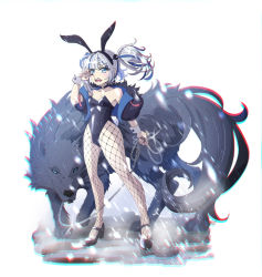 Rule 34 | 1girl, 1other, absurdres, alternate costume, animal ears, black choker, black footwear, black fur, black jacket, black leotard, blue eyes, blue hair, blue jacket, breasts, chain, chain leash, choker, chromatic aberration, collarbone, covered navel, crescent, crescent hair ornament, cropped jacket, facial mark, fake animal ears, fake tail, fangs, fishnet legwear, fishnets, floating hair, fur-trimmed hood, fur trim, grey hair, hair ornament, tucking hair, hand on own face, heart, heart facial mark, high heels, highres, hood, hooded jacket, jacket, leash, leotard, lomito (rurine luna), medium hair, multicolored clothes, multicolored hair, multicolored jacket, o-ring, o-ring choker, off shoulder, open mouth, playboy bunny, rabbit ears, rabbit tail, rurine luna, small breasts, snowing, star (symbol), star facial mark, strapless, strapless leotard, streaked hair, tail, teeth, trebas, two-sided fabric, two side up, virtual youtuber, wactor production, white background, wolf, wrist cuffs