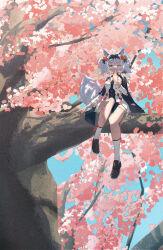 Rule 34 | 1girl, absurdres, animal ears, black footwear, black hairband, cherry blossoms, fake animal ears, grey eyes, grey hair, hairband, highres, in tree, japanese clothes, long hair, looking at viewer, no.21 (punishing: gray raven), one eye closed, punishing: gray raven, puyuyan, sitting, sitting in tree, socks, solo, tree, two side up, white socks, wide sleeves, wolf ears