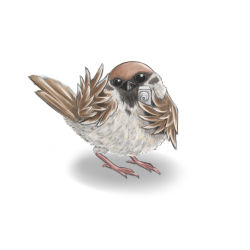 Rule 34 | animal focus, ao usagi, bird, camera, commentary request, lowres, md5 mismatch, no humans, original, parody, pun, shadow, simple background, solo, sparrow, white background
