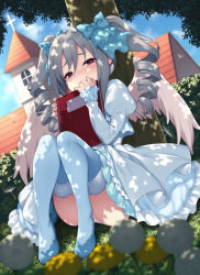 Rule 34 | 1girl, blue bow, blue sky, blue thighhighs, blush, book, bow, building, bush, church, cloud, commentary request, cross, day, dress, drill hair, feathered wings, flower, frilled dress, frilled sleeves, frills, fur-trimmed legwear, fur trim, grass, hair between eyes, hair bow, idolmaster, idolmaster cinderella girls, kanzaki ranko, knees together feet apart, long hair, long sleeves, looking at viewer, notebook, outdoors, panties, pantyshot, pokachu, puffy sleeves, red eyes, shade, silver hair, sitting, sky, solo, thighhighs, tree, twin drills, twintails, underwear, white panties, white wings, wings