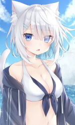 Rule 34 | 1girl, animal ear fluff, animal ears, bikini, black jacket, blue eyes, blue hair, blue sky, blush, breasts, cat ears, cat girl, cat tail, cleavage, cloud, commentary, day, drawstring, ear piercing, eyes visible through hair, fang, front-tie bikini top, front-tie top, hair ornament, hairclip, highres, hood, hood down, hooded jacket, horizon, jacket, looking at viewer, medium breasts, multicolored hair, navel, ocean, off shoulder, open clothes, open jacket, original, outdoors, parted lips, piercing, ringouulu, silver hair, sky, solo, star (symbol), swimsuit, symbol-only commentary, tail, tail raised, twitter username, two-tone hair, upper body, water, white bikini