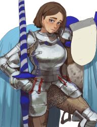 Rule 34 | 1girl, armor, blue eyes, breasts, brown hair, chainmail, female knight, highres, horse, knight, lance, medium breasts, mossacannibalis, original, pants, polearm, simple background, solo, weapon, white background