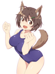 Rule 34 | 1girl, animal ear fluff, animal ears, blue one-piece swimsuit, brave witches, breasts, brown eyes, brown hair, closed eyes, commentary request, cowboy shot, dog ears, dog tail, karibuchi hikari, looking at viewer, medium breasts, nanashino, one-piece swimsuit, open mouth, school swimsuit, short hair, simple background, smile, solo, swimsuit, tail, white background, world witches series