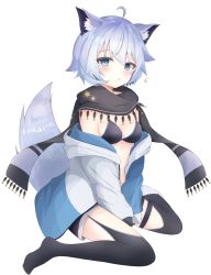 Rule 34 | 1girl, :o, ahoge, animal ear fluff, animal ears, between legs, bikini, black bikini, black scarf, black shorts, black thighhighs, blue eyes, blush, breasts, cat ears, commentary request, fringe trim, full body, garter straps, grey hair, grey jacket, hair between eyes, hand between legs, highres, hood, hood down, hooded jacket, jacket, long sleeves, looking at viewer, no shoes, off shoulder, open clothes, open jacket, original, parted lips, scarf, short shorts, shorts, simple background, sirotuki ito, sitting, small breasts, solo, swimsuit, tail, thighhighs, wariza, white background