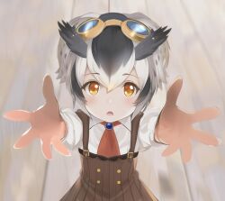 Rule 34 | bird girl, bird wings, blush, brown dress, brown gloves, collared shirt, dress, gloves, goggles, goggles on head, head wings, highres, ieinu account, kemono friends, kemono friends 3, long sleeves, looking at viewer, necktie, northern white-faced owl (kemono friends), official alternate hairstyle, orange eyes, owl ears, pov, reaching, reaching towards viewer, red necktie, shirt, suspenders, white shirt, wings