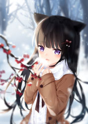 Rule 34 | 1girl, absurdres, animal ears, aran sweater, black hair, blurry, blurry background, blurry foreground, branch, breath, breathing on hands, brown choker, brown jacket, cable knit, cat ears, choker, commentary request, depth of field, fang, fingernails, flower, fufumi, hair ornament, hairclip, hands up, highres, jacket, long hair, long sleeves, open clothes, open jacket, original, parted lips, purple eyes, red flower, sleeves past wrists, solo, sweater, very long hair, white sweater