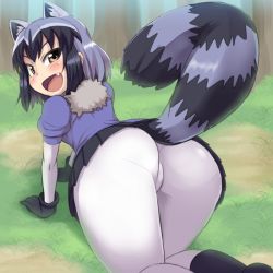 Rule 34 | 10s, 1girl, :d, all fours, animal ears, arched back, ass, black gloves, black hair, black skirt, blue sweater, blush, bodystocking, brown eyes, commentary request, common raccoon (kemono friends), day, extra ears, fang, foreshortening, from behind, fur collar, gloves, grass, grey hair, impossible clothes, kemono friends, layered sleeves, long sleeves, looking at viewer, microskirt, multicolored hair, open mouth, outdoors, pleated skirt, puffy short sleeves, puffy sleeves, raccoon ears, raccoon tail, short hair, short over long sleeves, short sleeves, skin tight, skirt, smile, solo, striped tail, subarutu, sweater, tail