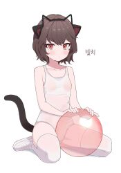 Rule 34 | 1girl, absurdres, animal ear hairband, animal ears, artist request, ball, blush, breasts, brown hair, cat ear hairband, cat ears, cat tail, character name, collarbone, commentary request, fake animal ears, full body, hairband, highres, korean commentary, looking at viewer, nike (company), one-piece swimsuit, original, prunechi, red eyes, see-through, see-through one-piece swimsuit, seiza, shoes, short hair, simple background, sitting, small breasts, sneakers, sweatdrop, swimsuit, tail, thighhighs, translation request, white background, white footwear, white one-piece swimsuit, white thighhighs