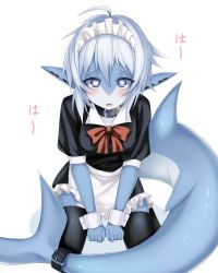 Rule 34 | 1girl, ahoge, bad id, bad twitter id, black thighhighs, blue eyes, blue skin, blush, collar, colored skin, commentary, commission, english commentary, fangs, fins, fish girl, fish tail, hair between eyes, heart, heart-shaped pupils, highres, leaning forward, looking at viewer, maid, maid headdress, monster girl, ompf, open mouth, original, pointy ears, shark girl, shark tail, short hair, silver hair, simple background, solo, symbol-shaped pupils, tail, thighhighs, white background, wrist cuffs, zettai ryouiki